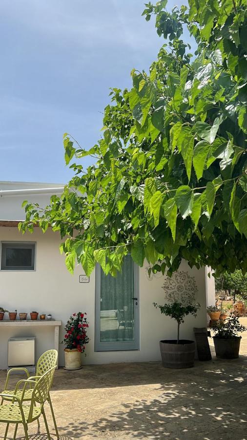 Bed and Breakfast Trullo Santangelo Ceglie Messapica Exterior foto